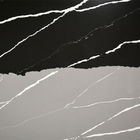 20MM 투 컬러 음영 카크타 하얀 나뭇결모양 카운터 톱 표면 석영