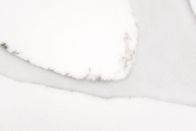 하얀 인공 카크타 석영 호석 NSF는 벤치탑을 위해 증명했습니다