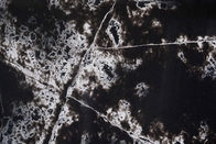 응집성 패턴 대리석과 검은 카라카타 인공 석영 주방 조리대가 보입니다